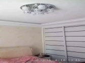 ͼ